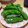 ゆうジュニア's cooksnap of when they made 簡単☆ピーマン丸ごと焼いて☆塩ごま油.