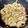 クックRCZLDL☆'s cooksnap of when they made 無限たけのこ＆もやし.