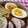 幼稚園年長★咲ママ's cooksnap of when they made ラーメンやおつまみに最適！簡単半熟煮卵.