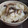 新妻あや's cooksnap of when they made きのこたっぷり炊き込みご飯✿だし醤油.
