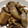 ツボッち's cooksnap of when they made 厚揚げと牡蠣のオイスター炒め.