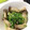 teateapot's cooksnap of when they made 豆苗とエリンギの中華炒め.