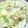 ♡Catherine's cooksnap of when they made 肉と野菜の中華いため.