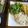 ルロワ・モワ's cooksnap of when they made キャベツとベーコン☆卵包み焼き.