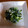 やっちゃんこちゃん's cooksnap of when they made 小松菜と炒り卵のしらすあえ.
