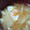プゥたﾝCHU's cooksnap of when they made ＊大根と落とし卵の味噌汁＊.