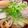 クック3UQU4Q☆'s cooksnap of when they made 母伝授、これはあったま～る、鶏南蛮うどん.