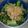 ぶーたーこー's cooksnap of when they made 青菜（小松菜）の塩麹おひたし.