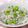 はやみちゃん's cooksnap of when they made ☆簡単！枝豆ゴハン☆.