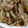 グフィ's cooksnap of when they made 豚肉とごぼうのしぐれ煮.