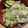 hakobetet's cooksnap of when they made すぐできる！キャベツそぼろ丼.