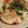 beruhime's cooksnap of when they made おろしでポン！水餃子.