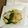 totyio's cooksnap of when they made 鯛のソテー　バジルソース添え♪.