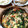 ジャスミン糖's cooksnap of when they made 鮭とほうれん草の簡単キッシュ.