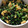 こおき's cooksnap of when they made かぶの葉のたまご中華風炒め.