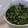 くまこぶた's cooksnap of when they made 大根の葉とちりめんじゃこの炒め煮.