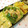 m@n@'s cooksnap of when they made 油揚げとピーマンの炒め物.