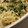 MULA's cooksnap of when they made しらすとほうれん草のパスタ.