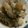 ジンユヅキ's cooksnap of when they made 魚のあら煮.