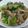 ポチうた's cooksnap of when they made 豚肉と青梗菜のオイスターソース炒め。.