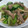 ポチうた's cooksnap of when they made 豚肉と青梗菜のオイスターソース炒め。.