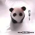 ＊＊ココア＊＊'s cooksnap of when they made パンダVS謎の３匹（パンダ編）キャラ弁.