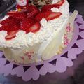ガノッチ's cooksnap of when they made クリスマスケーキのデコに！！チョコの羽.