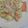 Neco22's cooksnap of when they made サーモンとほうれん草のクリームパスタ.