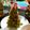 terakooo's cooksnap of when they made ホットケーキのツリーでクリスマス気分♪.