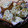 yappyパクパク's cooksnap of when they made HBおまかせ♪さつま芋と黒ごまの田舎パン.