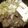ちぁり's cooksnap of when they made フライパンで作る牛肉のすき焼き風.