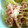 まかろん☆まかろん's cooksnap of when they made 新玉ねぎときゅうりのサラダ.