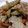 Kakka123's cooksnap of when they made 豚こまとごぼうの炒め物！.