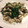 かよっくまくま's cooksnap of when they made 牡蠣とほうれん草のオリーブオイル炒め☆.