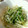 kinako7251's cooksnap of when they made 簡単もやしと豆苗のナムル.