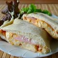 おらんでう～たん's cooksnap of when they made ハムロール白パン.