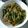 kinako7251's cooksnap of when they made じゃが芋で★我が家のチンジャオロース.