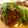ハグちゃんのしっぽ's cooksnap of when they made 低温で焼くプライムリブ ステーキ.