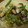 つばちゅん's cooksnap of when they made ◎大根とあさりの酒蒸し◎.