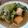 ばたみそーぱん☆'s cooksnap of when they made 簡単！トロッと鶏胸肉と厚揚げの治部煮.