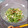 バカリャウ's cooksnap of when they made ササミと豆苗のピリ辛納豆和え♡.