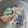 ゆうう♡'s cooksnap of when they made 簡単！伊勢エビのわさびサラダ.