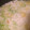 applepoo's cooksnap of when they made 風邪かな？と思ったら・・・生姜のおかゆ.