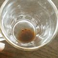 かりあん's cooksnap of when they made 混ぜないで！黒糖珈琲.