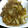 茶古丸's cooksnap of when they made 鶏レバーとたまねぎの炒め煮.