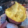 manao太郎's cooksnap of when they made 焚き火で焼き芋.