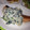 あｙａ's cooksnap of when they made 鮭のムニエル ほうれん草とキノコソース.