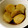H△CHI's cooksnap of when they made ほっこり和☆里芋の煮物☆*.