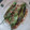 ミロにゃん's cooksnap of when they made 焼くだけ万願寺とうがらし.
