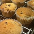 たれ組's cooksnap of when they made 簡単シンプル♪チョコバナナマフィン.